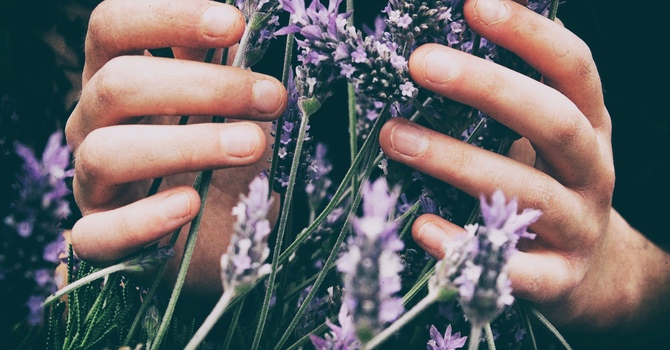 New Patient Appointment