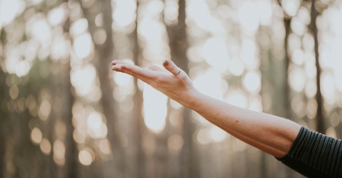 New Patient Appointment